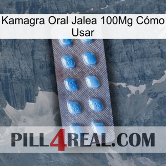 Kamagra Oral Jalea 100Mg Cómo Usar viagra3